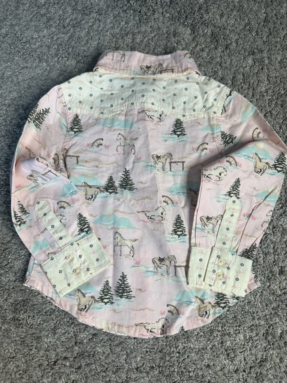 Gymboree Park City Luxe Western horse print button-down shirt 3 vintage 2006